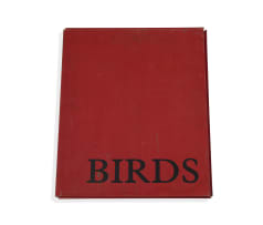 Jules van de Vijver; Birds, portfolio