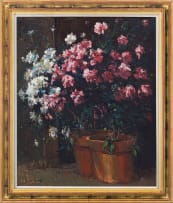 Adriaan Boshoff; Azaleas