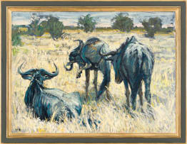 Zakkie Eloff; Drie Wildebeeste