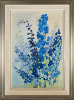 Vivian Gottlieb; Delphiniums