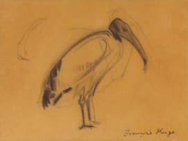 François Krige; Ibis