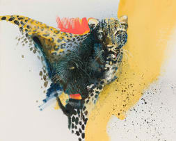 Keith Joubert; Leopard