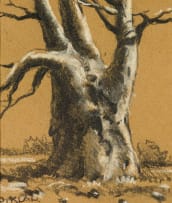 Otto Klar; Baobab