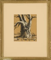 Otto Klar; Baobab