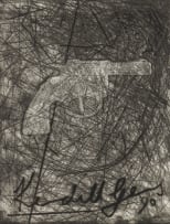 Kendell Geers; Gun