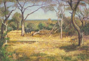 Zakkie Eloff; Rhino and Jackal in Wooded Veld