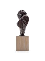 Dylan Lewis; Cheetah Bust Maquette (S196)