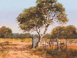 Andre de Beer; Acacia & Goats