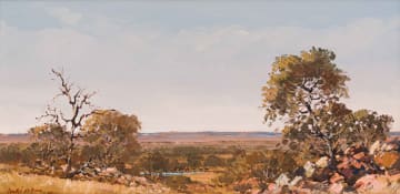 Andre de Beer; Bushveld Landscape