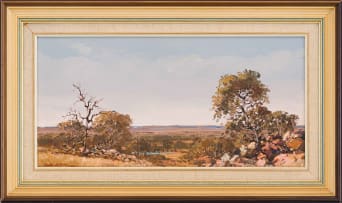 Andre de Beer; Bushveld Landscape