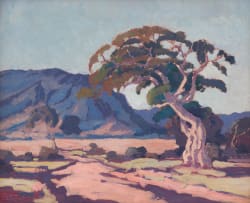 Jacob Hendrik Pierneef; Kommandoboom, Northern Transvaal