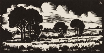 David Botha; Landscape with Trees