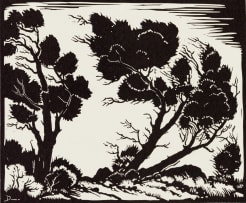 David Botha; Windswept Trees