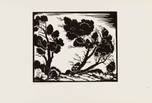 David Botha; Windswept Trees