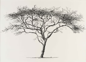 Esias Bosch; Tree