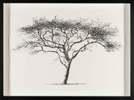 Esias Bosch; Tree