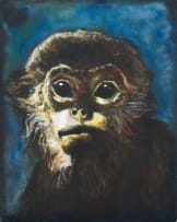 Walter Meyer; Monkey