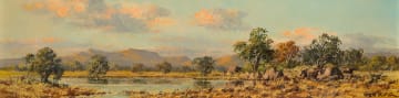 Otto Klar; Bushveld Landscape