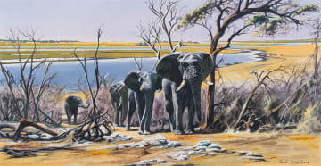 Paul Augustinus; Elephants by a River