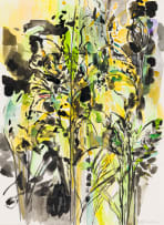 Judy Shear; Composition with Plants