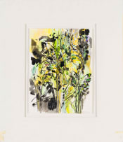 Judy Shear; Composition with Plants