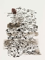 Judy Shear; Organic Composition