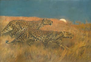 Arthur Wardle; Leopards Stalking Prey