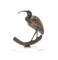 Dylan Lewis; Glossy Ibis I (S166)