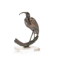 Dylan Lewis; Glossy Ibis I (S166)