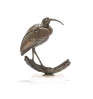 Dylan Lewis; Glossy Ibis I (S166)