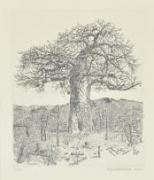 Anton Kannemeyer; Baoabab Tree, Pafuri