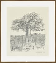 Anton Kannemeyer; Baoabab Tree, Pafuri