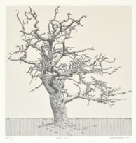 Anton Kannemeyer; Dead Oak