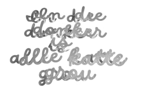 Cecilia Steinberg; In die Donker is Alle Katte Grou (In the Dark All Cats are Grey)