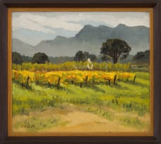 David Botha; Farm Landscape