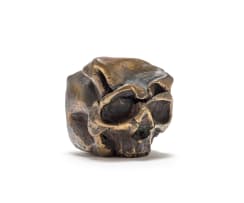 Guy du Toit; Skull