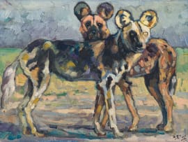 Zakkie Eloff; Wild Dogs