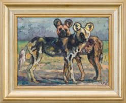 Zakkie Eloff; Wild Dogs