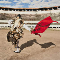 Nandipha Mntambo; Praça de Touros V