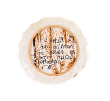 Frances Goodman; A Fluke is Nothing but a Flicker of Your True Potential, Toilet Embroideries series