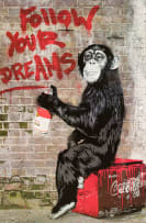 Mr Brainwash; Follow Your Dreams