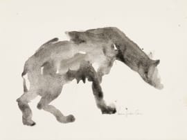 Pam Guhrs-Carr; Leopard; Hyena, two