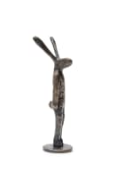 Guy du Toit; Standing Hare