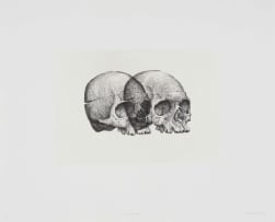 Gerhard Marx; Binocular Skull I