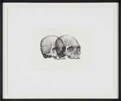 Gerhard Marx; Binocular Skull I