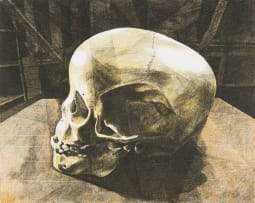 Walter Oltmann; Child Skull B