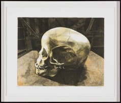 Walter Oltmann; Child Skull B