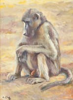 Zakkie Eloff; Baboon