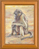 Zakkie Eloff; Baboon