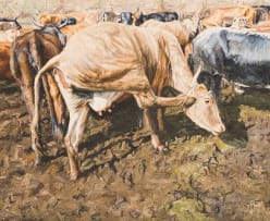 Sipho Ndlovu; Esibayeni (Cattle Kraal)